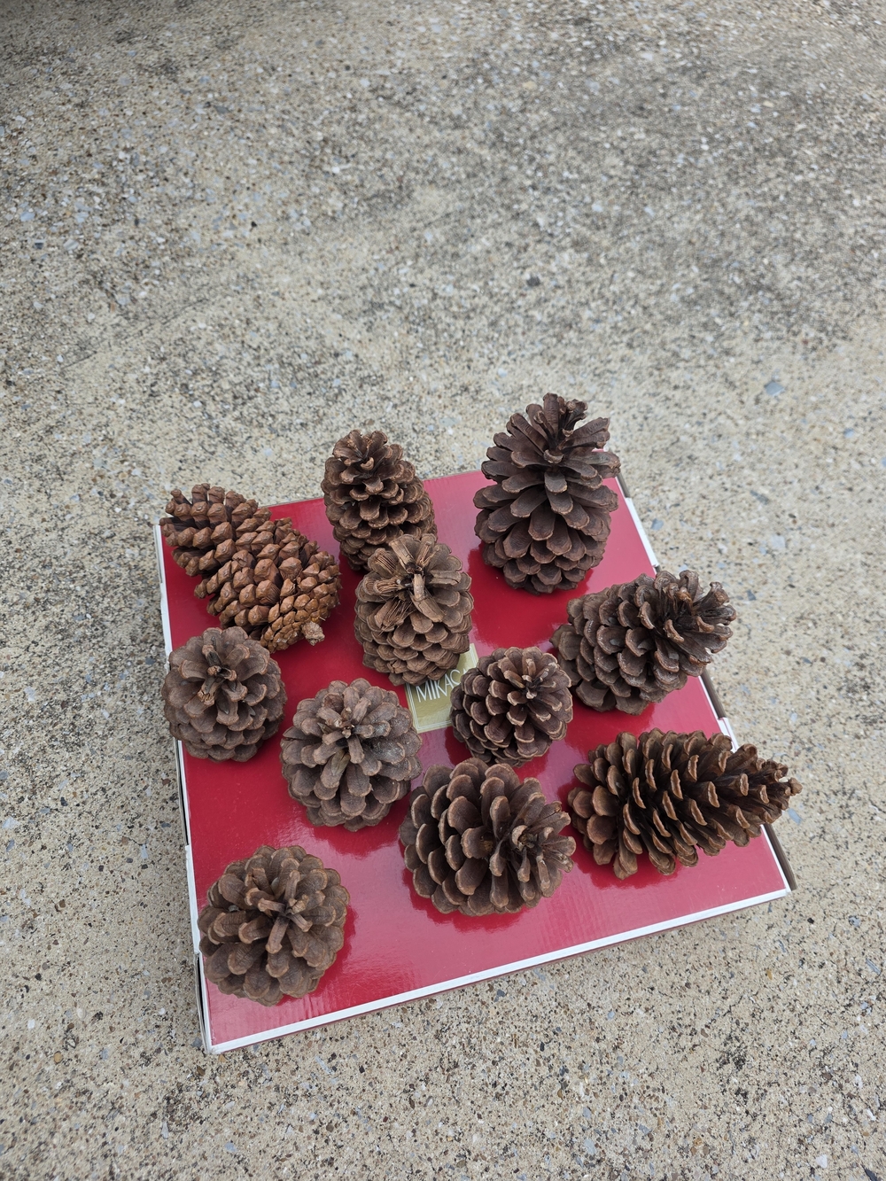 Set Of 11 Natural Brown Pine Cone Decorative Accents - Home Accents
